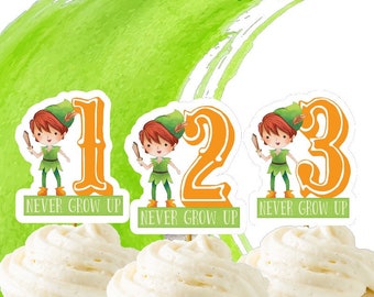Peter Pan Never Grow Up Cupcake Toppers Birthday