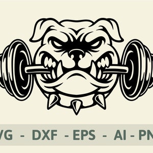 Bulldog Svg , Bulldog Gym , Vector Cut file for Cricut, Silhouette , Instant Download , SVG, PNG, EPS, Dxf, Ai Digital Download