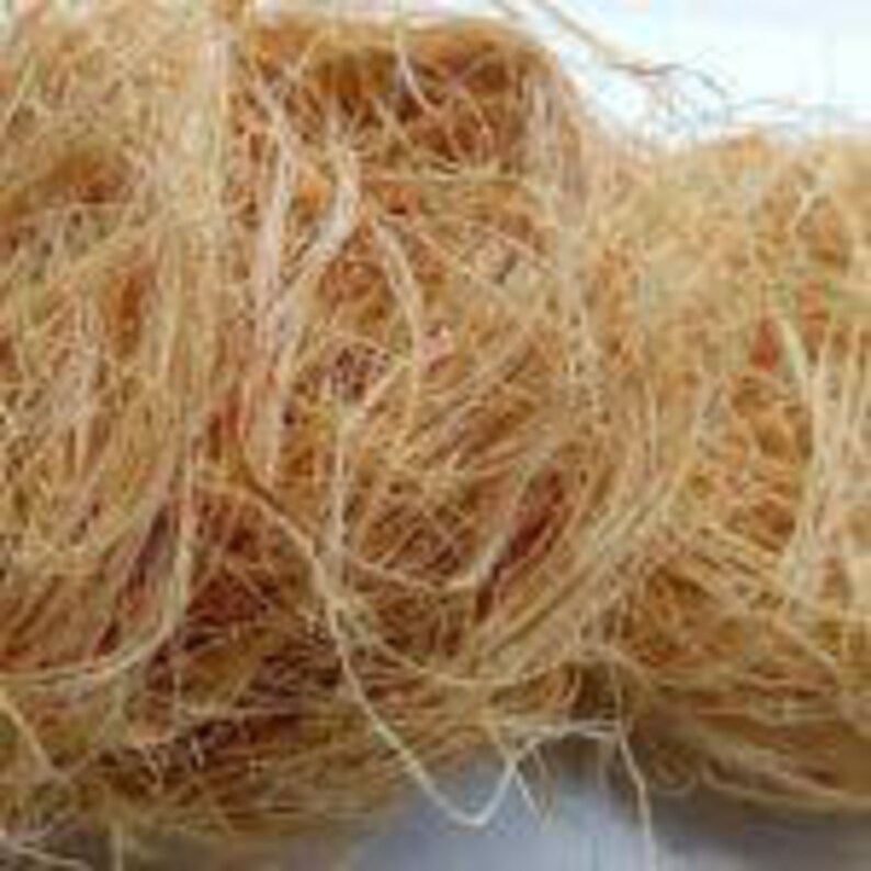 Natural African Sponge 72 or 144 Sponges Etsy