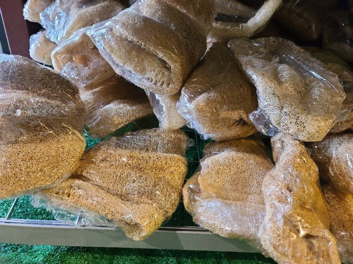 Loofah African Super Exfoliating Sponge 1 or 6 Sponges Etsy