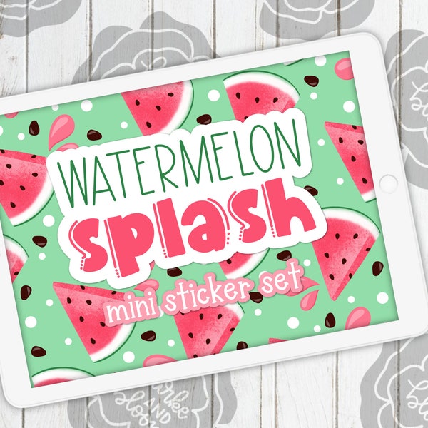 Watermelon Splash Mini Digital Sticker Set, Planner Stickers, GoodNotes, ZoomNotes, PNGs