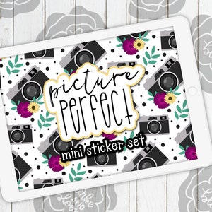 Picture Perfect Mini Digital Sticker Set, Planner Stickers, GoodNotes, ZoomNotes, PNGs