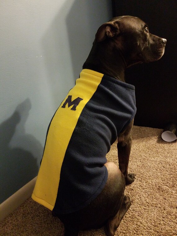 xl dog coat