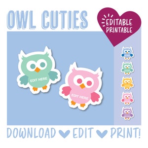 May include: Editable printable owl cutouts in pink and green with the text "EDIT HERE" on each. The image also shows a row of 6 different colored owls with the text "EDIT HERE" on each.