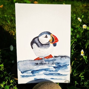 Papageientaucher Aquarell Papageientaucher