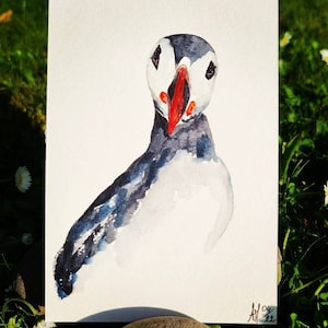 Macareux aquarelle Puffin