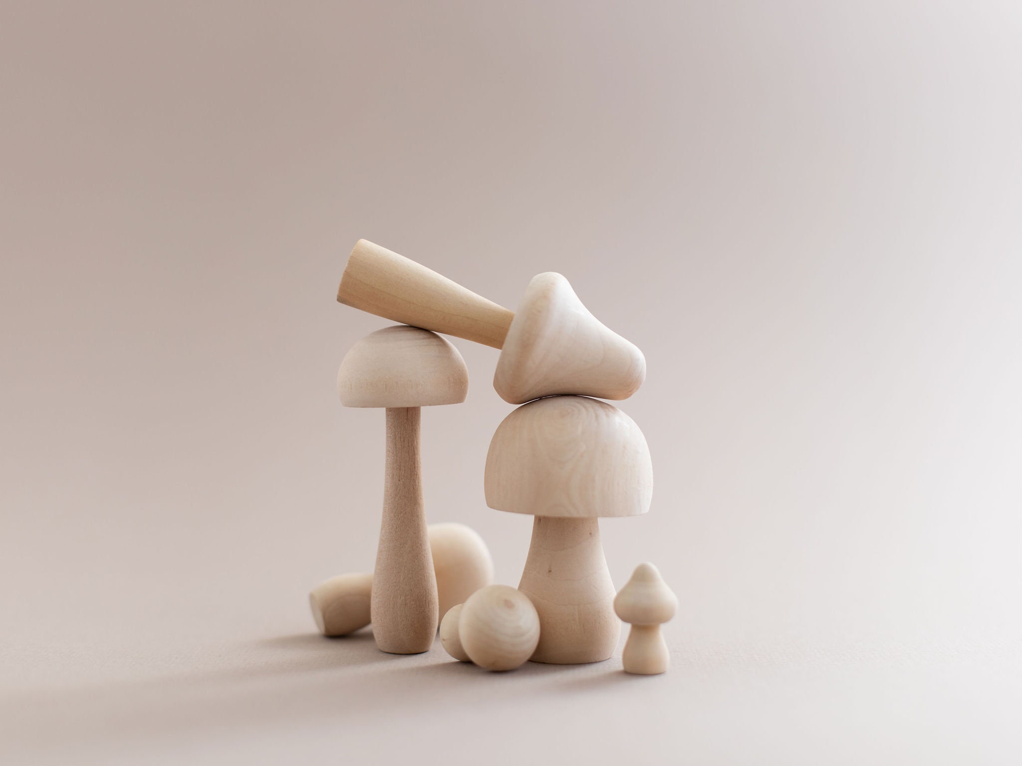 Wooden Mushrooms Wooden Mushroom Set Montessori Toy - Etsy