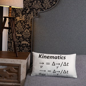 May include: A rectangular white throw pillow featuring black printed text that reads Kinematics followed by two physics equations for velocity and average acceleration, specifically v vector equals delta r vector over delta t and a sub av vector equals delta r vector over delta t.