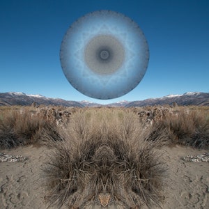 Rising mandala