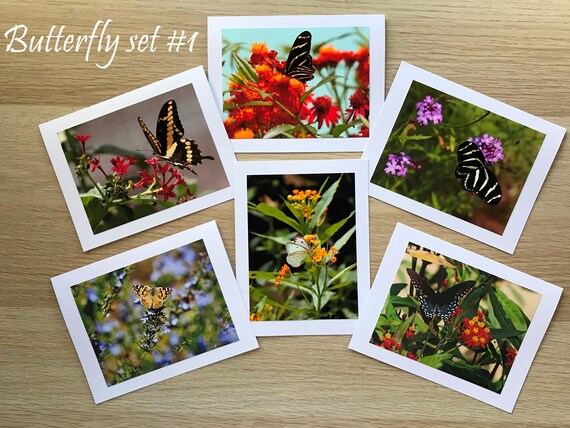 Butterfly Note Cards Set 1 | Etsy