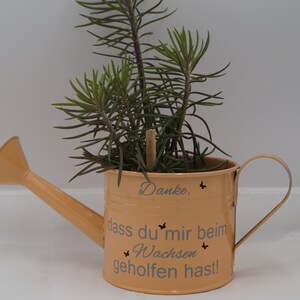 Bloempot gieter, plantenbak met gezegde, cadeau voor opvoeder, afscheidscadeauopvoeder, pastellorange *UITVERKOCHT*
