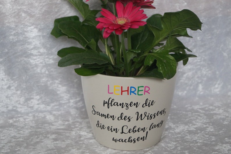Blumentopf Übertopf mit Spruch Geschenk für Lehrer Etsy