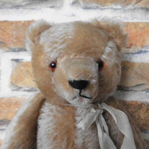 kleiner Teddybär, 30 cm, Sammlerteddy, Vintage, alter Bär Bild 5
