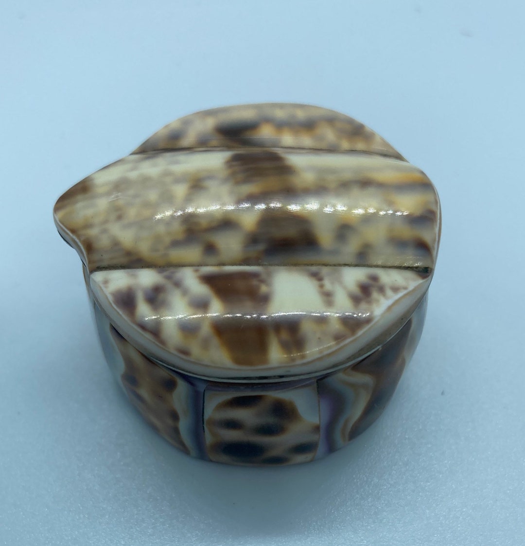 Vintage Lacquered Seashell Pill Box - Etsy
