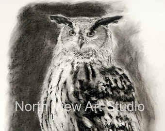 Giclee print of a wise owl, from an original charcoal drawing. Available in a range of sizes.