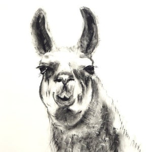 original llama portrait, black and white llama drawing, Llama, llama art, llama gift, llama wall art, charcoal drawing, animal art image 1