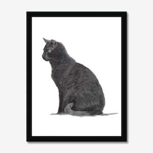 Hand drawn Pet Portrait, Pet Portrait, Custom Dog Portrait, Custom Cat Portrait, Pet Memorial, Pet Portrait  Charcoal, Pet Lover Gift