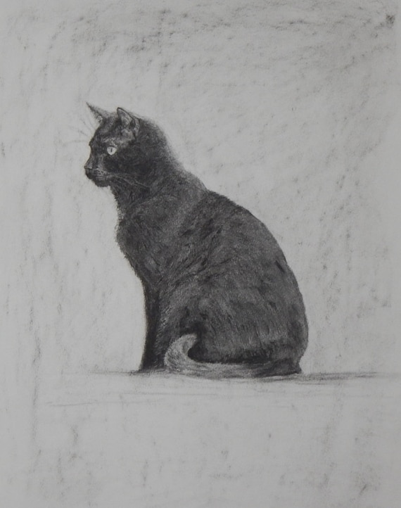 Dessin Original Au Fusain De Chat Dessin De Chat Noir Et Etsy France