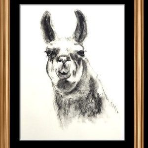 original llama portrait, black and white llama drawing, Llama, llama art, llama gift, llama wall art, charcoal drawing, animal art image 2