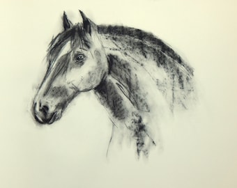Disegno originale di un cavallo a carboncino – Ritratto di animale da parete