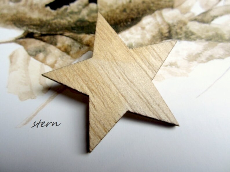 natural wood brooch star Wood brosche-plug stern
