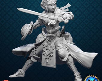 Zonai Armor Zelda