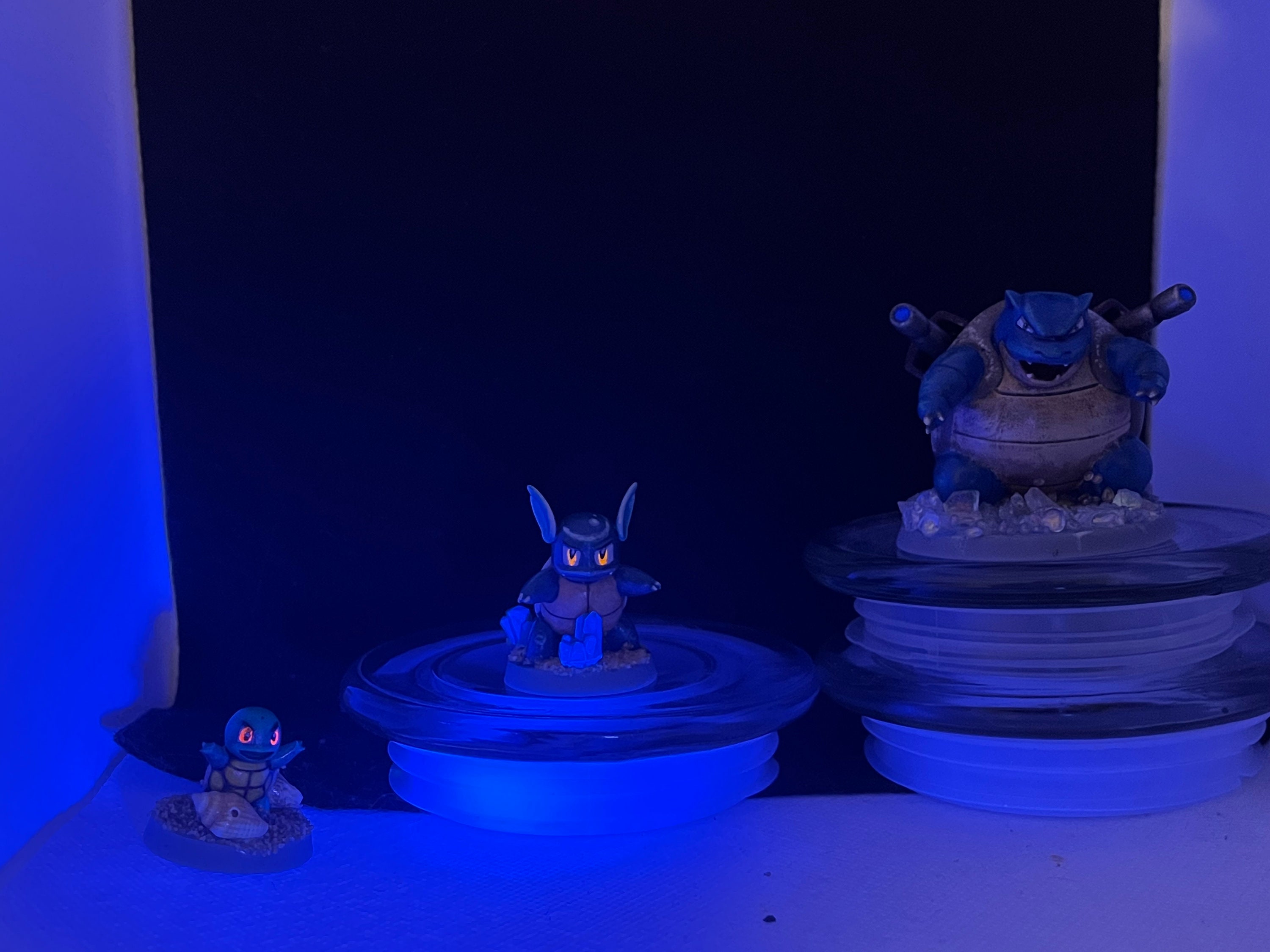 Squirtle Evolution Line - Etsy