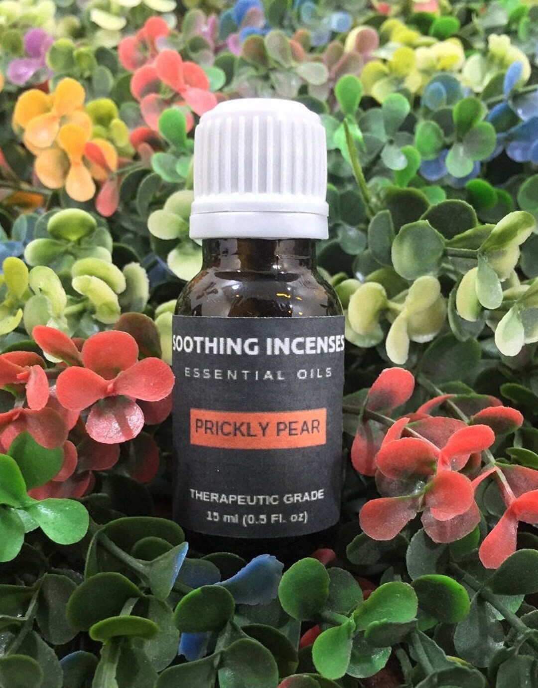 Prickly Pear Essential Oils Pure Natural Aromatherapy Massage Oil Therapeutic Grade Pure Natural