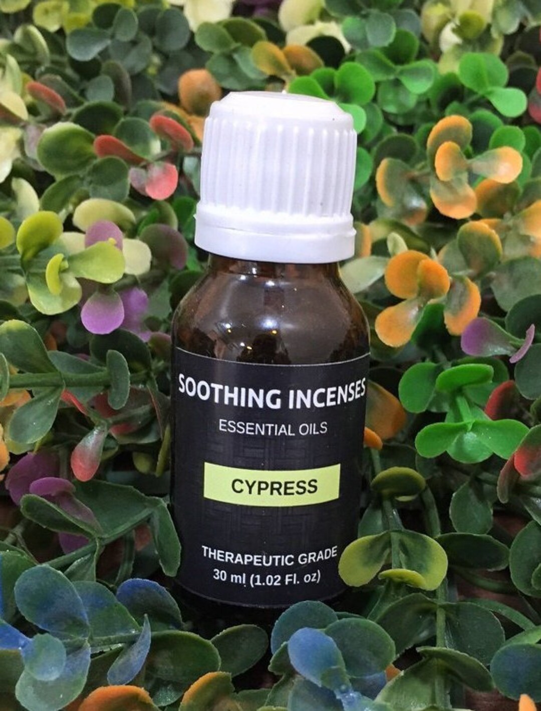 Cypress Essential Oils Pure Natural Aromatherapy Massage Oil Therapeutic Grade Pure Natural Oil
