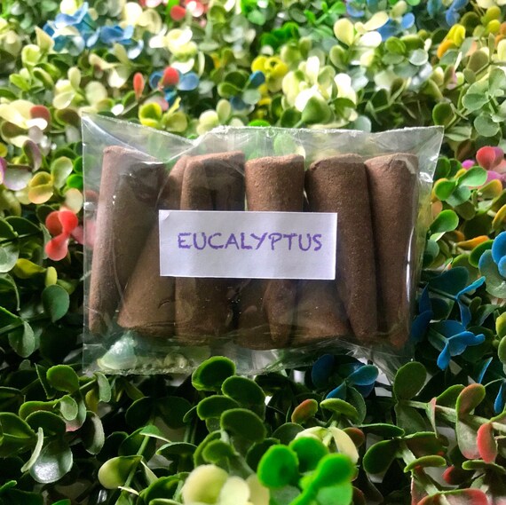 Eucalyptus Incense Cones 100 Natural Incense Cones Etsy