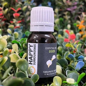 Lily Essential Oils - Pure Natural Aromatherapy Massage Oil - Therapeutic Grade - Pure Natural Oil - EOCASA
