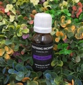 Blue Lotus Essential Oils - Pure Natural Aromatherapy Massage Oil - Therapeutic Grade - Pure Natural Oil - EOBL product logo