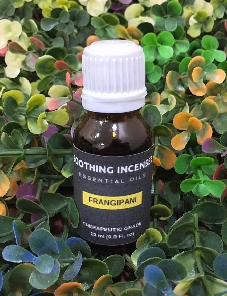  Frangipani Oil -( Plumeria Alba )- Essential Oil 100% Pure  Natural Undiluted Uncut Therapeutic Grade Oil 0.16 Fl.Oz to 33.81 Fl.Oz by  Sheer Essence (Frangipani Oil 30ML (1.01 Fl.OZ)) : Health & Household