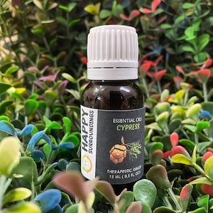 Cypress Essential Oils - Pure Natural Aromatherapy Massage Oil - Therapeutic Grade - Pure Natural Oil - EOCYP