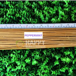 Peppermint  19 inch Incense Sticks (Golden) -100% Natural Incense Sticks -Christmas Incense Sticks Traditional Indian Incense - ISPEP