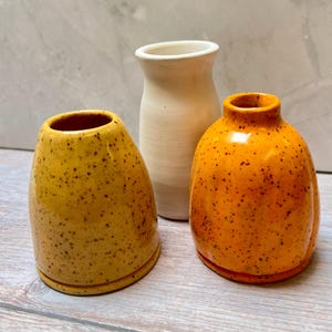 Collection de vases Bud, décoration d&#39;automne