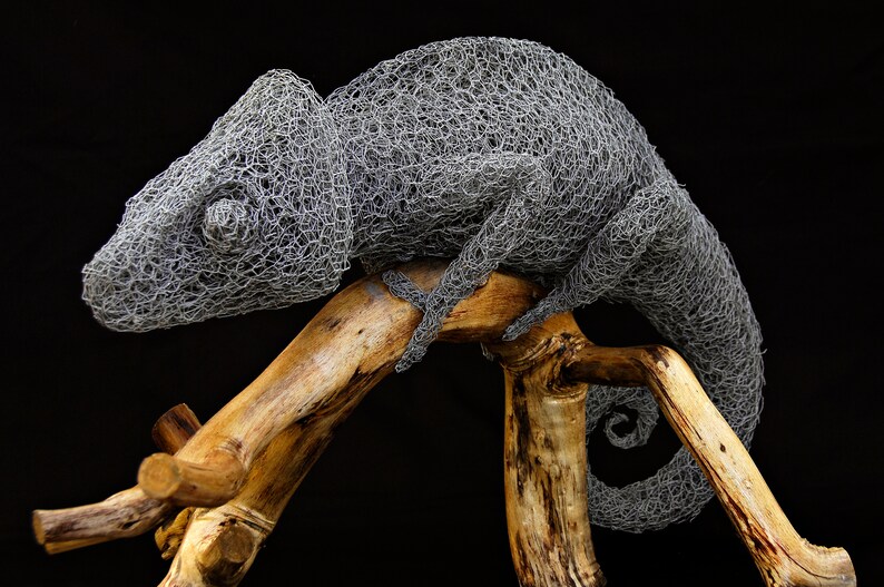 Chameleon Chickenwire Sculpture Etsy