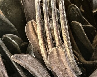 One Stands Out  (Digital Download)