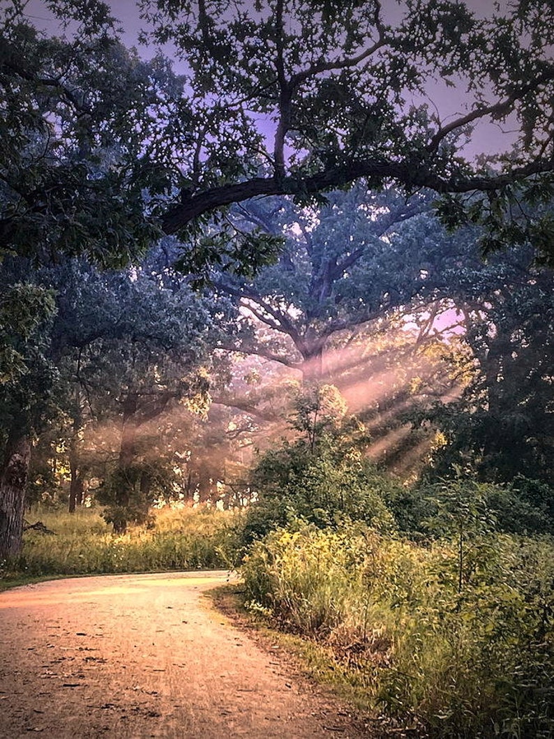 Rays of Light zdjęcie 1