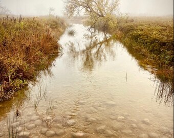 Autumn Stream