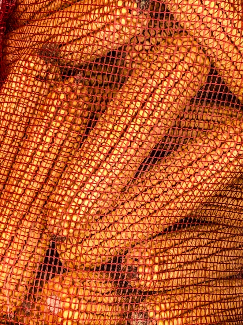 Corn Cobs zdjęcie 1