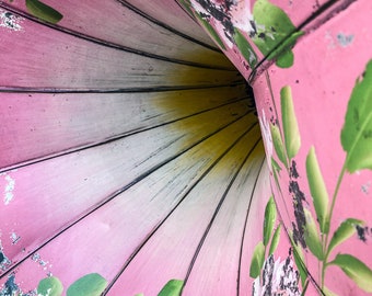 Pink Gramophone- Digital Download