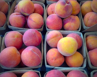 Peaches at the Farmer’s Market (Digital Download)