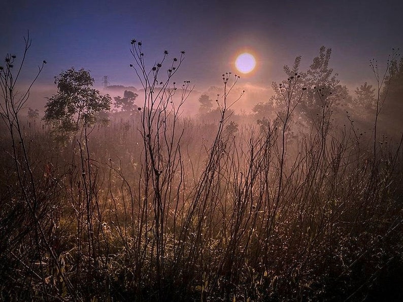 Early Morning Sun zdjęcie 1
