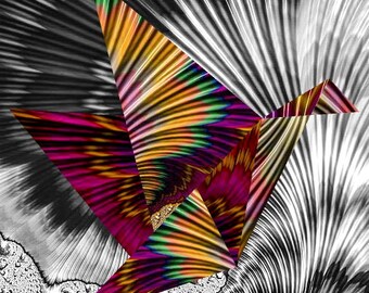 Bird of Paradise (Digital Print/Download)