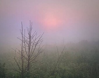 Misty Morning-3