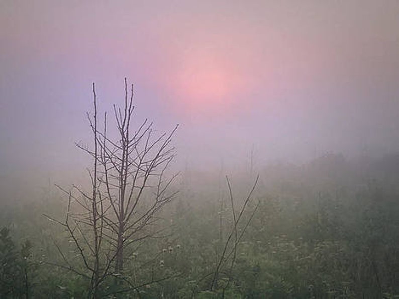 Misty Morning-3 zdjęcie 1