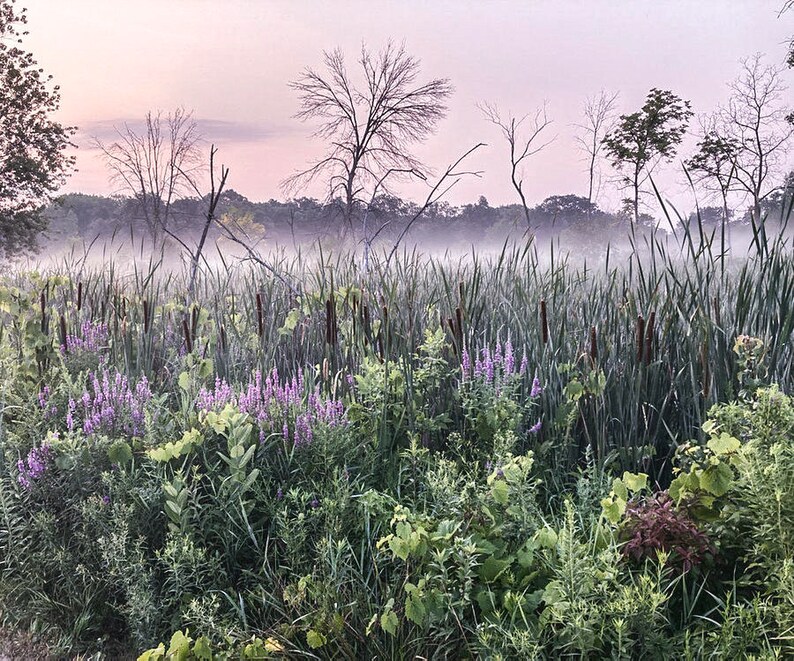 Prairie Mist zdjęcie 1