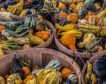 Gourds at the Farmer’s Market