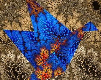 Fire Bird (Digital Print/Download)